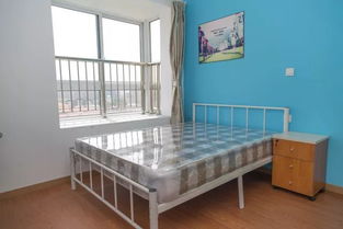 安心收租，省心托管——青客为北京房东解忧